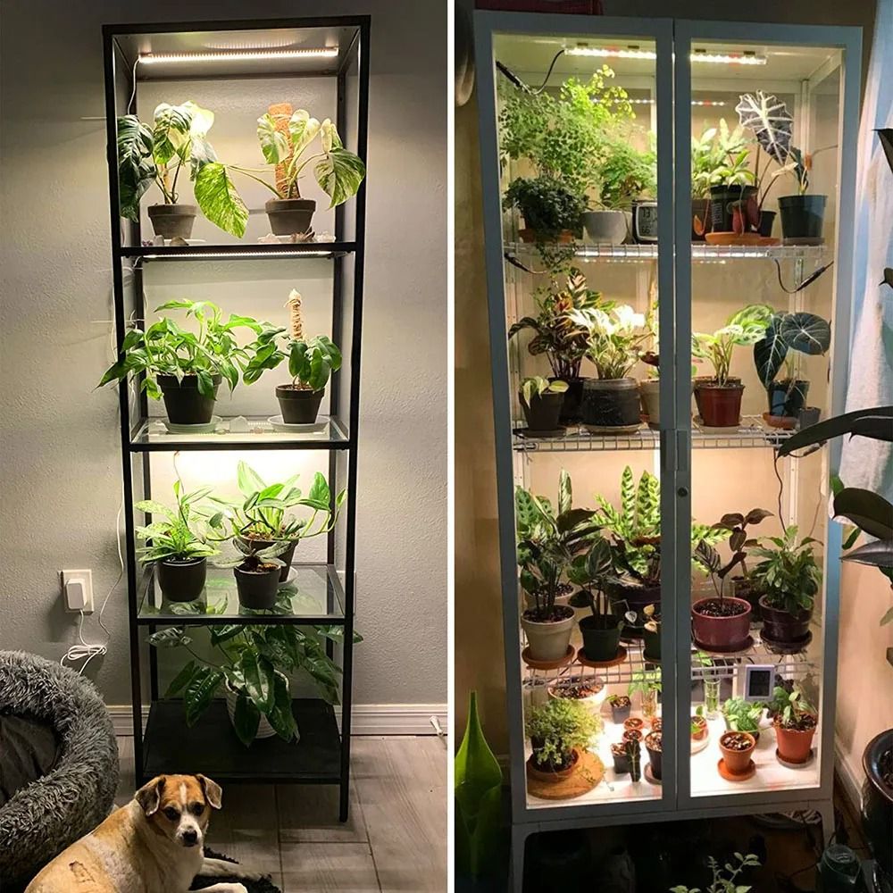 Full Spectrum LED Grow Light Strip For Indoor Plants 5