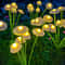 Solar Mushroom Garden Lights Dual Mode Waterproof LED Outdoor Yard Decor 6