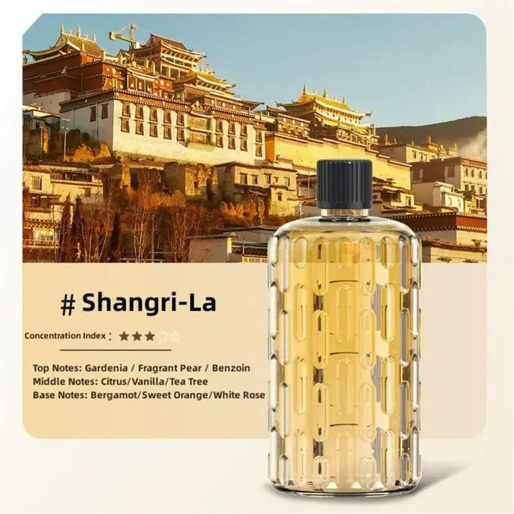Aroma Diffuser And Air Humidifier 9