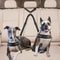 Adjustable Pet Car Seat Belt Leash For Dogs And Cats 5