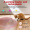 Interactive Cat Chase Toy With Chirping Sound And Random Movement 3