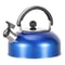 Stainless Steel Whistling Tea Kettle With Heat Resistant Handle 1