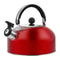 Stainless Steel Whistling Tea Kettle With Heat Resistant Handle 5