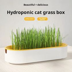hydroponic cat grass box for healthy catnip growth