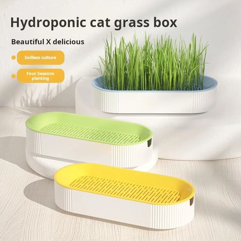 Hydroponic Cat Grass Box For Healthy Catnip Growth 1