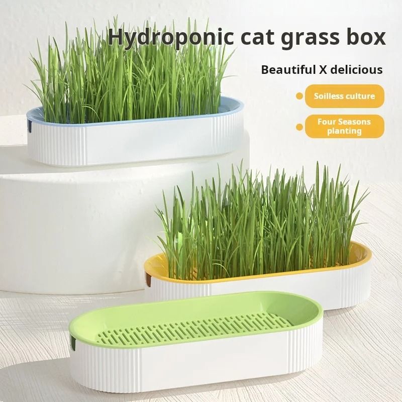 Hydroponic Cat Grass Box For Healthy Catnip Growth 3