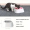 No Spill Slow Feeder Pet Water Bowl For Dogs And Cats 2