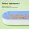 Hydroponic Cat Grass Box For Easy Soilless Planting 4