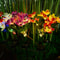 LED Solar Flower Garden Lights 2