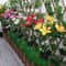 LED Solar Flower Garden Lights 5