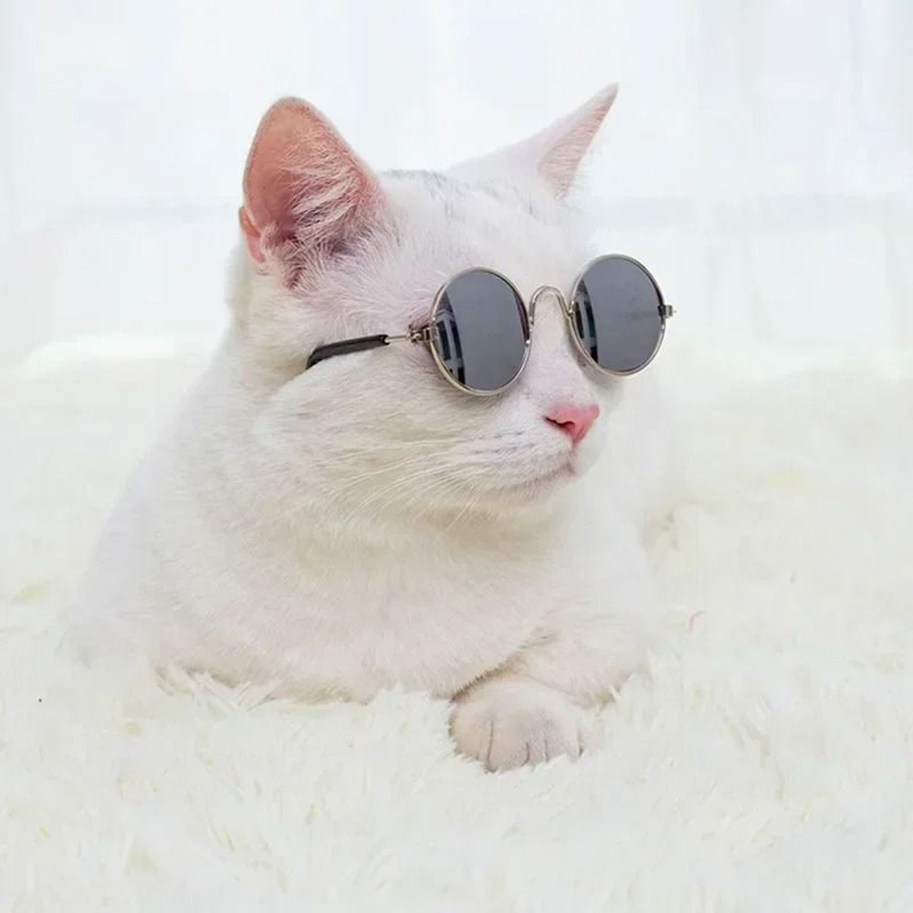 Cute Pet Sunglasses For Cats And Small Dogs UV Protection Summer Photo Props 3