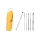 Stainless Steel Ear Cleaning Kit 5