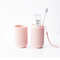 Portable Toothbrush And Toothpaste Holder Case 2