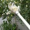Lightweight Polypropylene Fruit Picker For Garden Harvesting 3