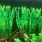 Artificial Aquarium Plants With Ceramic Base 6