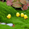 Mini Chicken Figurines Fairy Garden Decoration Set 4