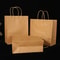 10 Pcs Large Kraft Paper Gift Bags With Handles 2