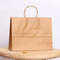 10 Pcs Large Kraft Paper Gift Bags With Handles 3