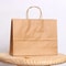 10 Pcs Large Kraft Paper Gift Bags With Handles 3