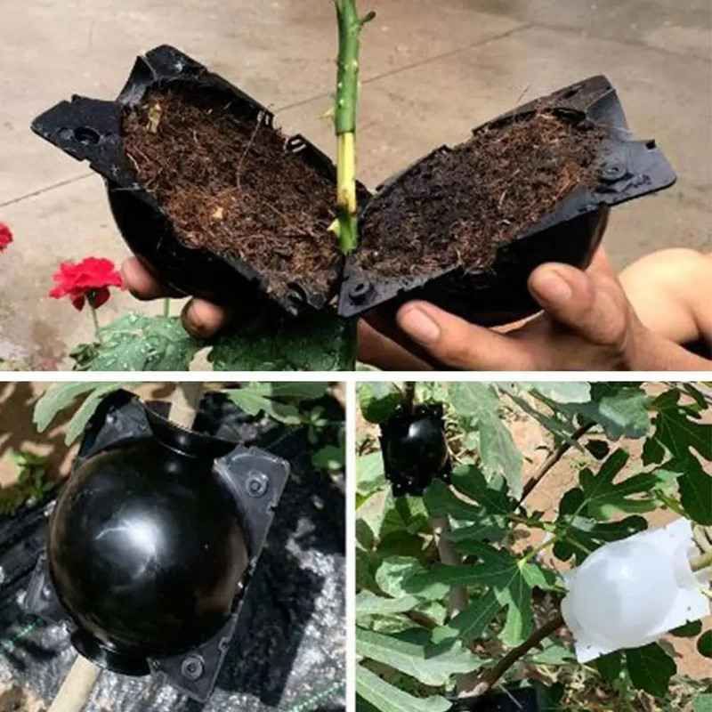 9 Pcs Plant Propagation Rooting Balls For Fast Growth 3