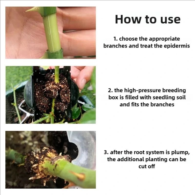 9 Pcs Plant Propagation Rooting Balls For Fast Growth 6