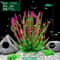 Artificial Aquarium Plants With Ceramic Base For Fish Tanks 4
