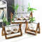 Hydroponic Plant Vase With Wooden Stand 1