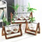 Hydroponic Plant Vase With Wooden Stand 1