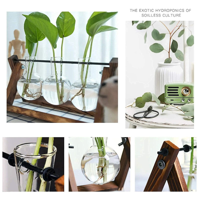 Hydroponic Plant Vase With Wooden Stand 2