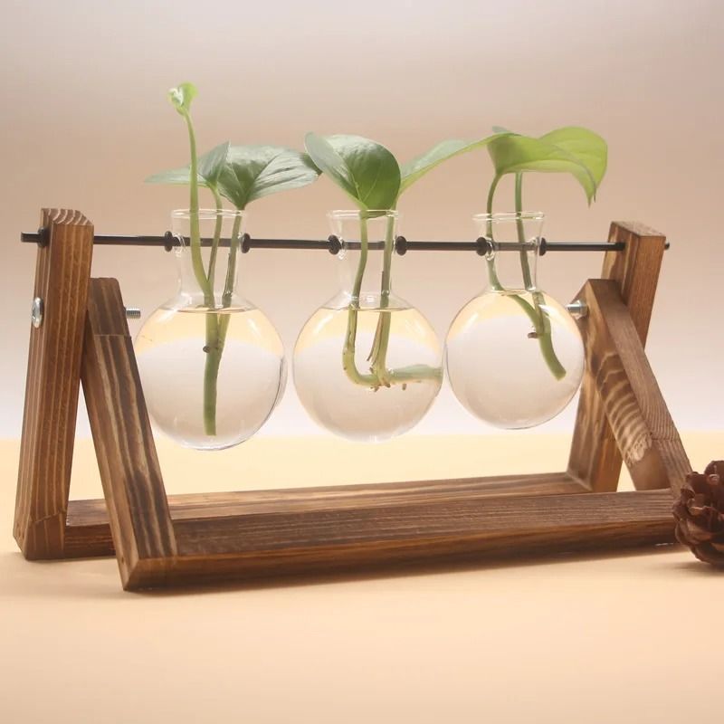 Hydroponic Plant Vase With Wooden Stand 9