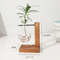 Hydroponic Plant Vase With Wooden Stand 10