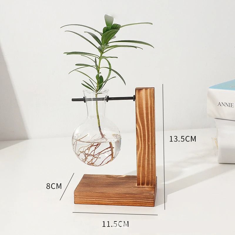 Hydroponic Plant Vase With Wooden Stand 10
