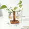 Hydroponic Plant Vase With Wooden Stand 11