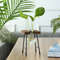 Hydroponic Plant Vase With Wooden Stand 13