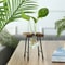 Hydroponic Plant Vase With Wooden Stand 13