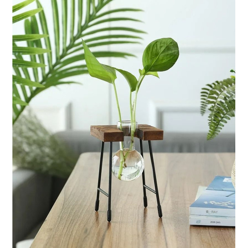 Hydroponic Plant Vase With Wooden Stand 13