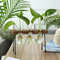 Hydroponic Plant Vase With Wooden Stand 15