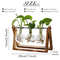 Hydroponic Plant Vase With Wooden Stand 5