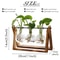 Hydroponic Plant Vase With Wooden Stand 5