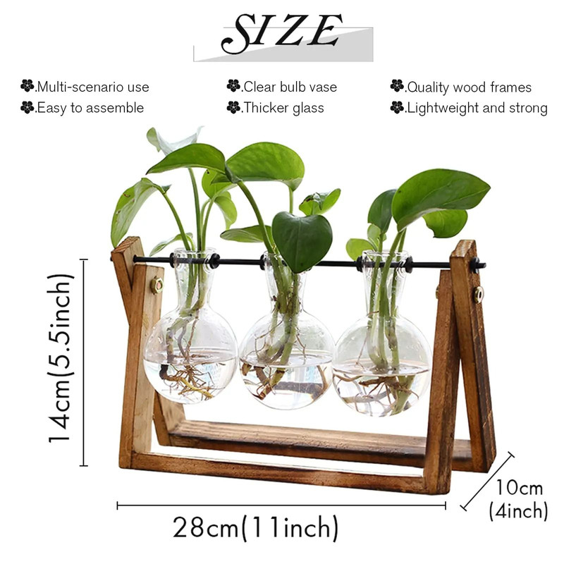 Hydroponic Plant Vase With Wooden Stand 5