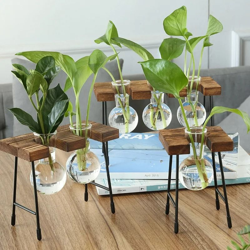 Hydroponic Plant Vase With Wooden Stand 6