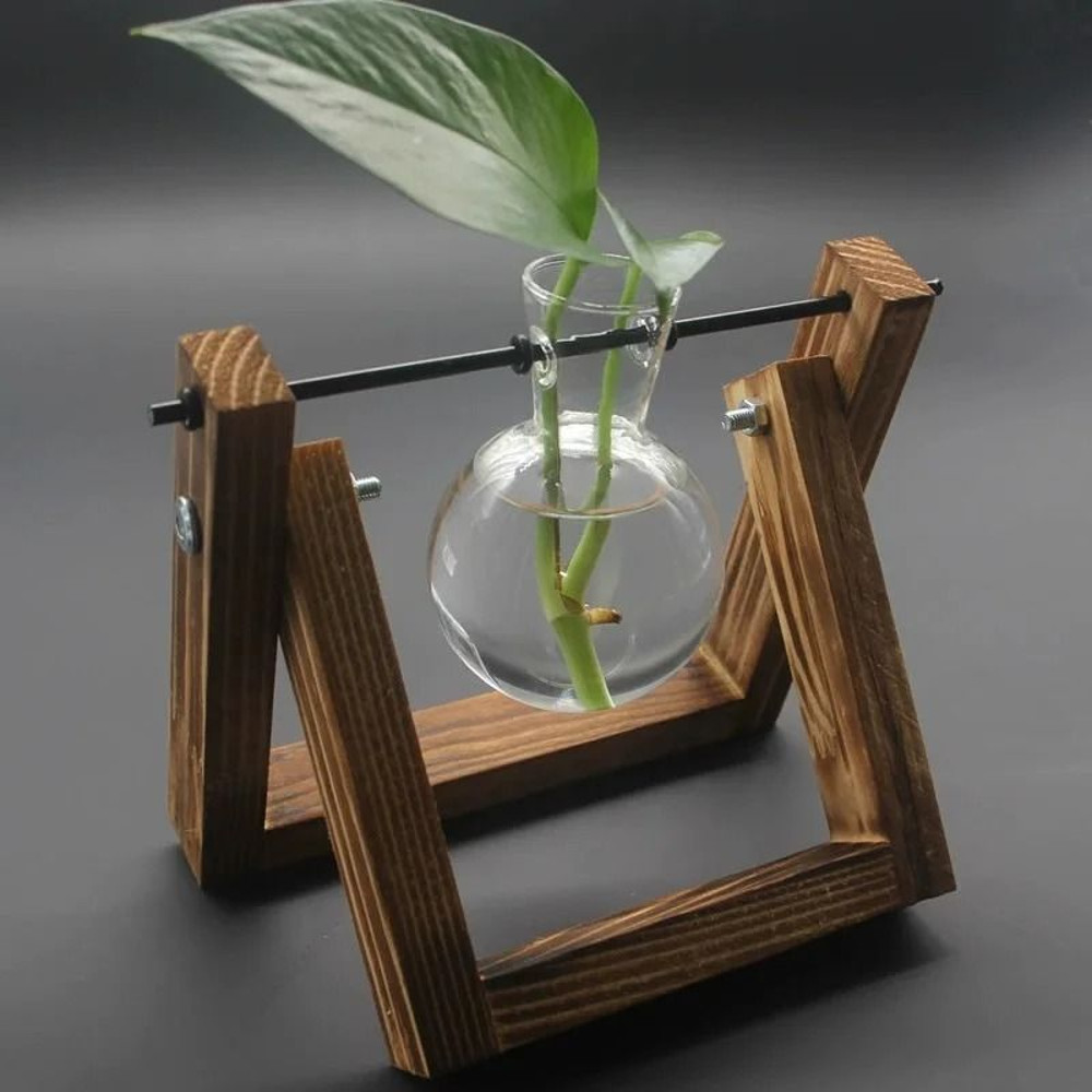 Hydroponic Plant Vase With Wooden Stand 7