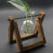 Hydroponic Plant Vase With Wooden Stand 7