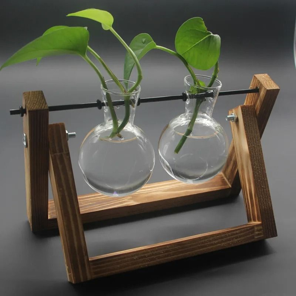 Hydroponic Plant Vase With Wooden Stand 8