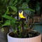 Solar Bird Garden Light Outdoor Resin Decoration 1