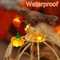 Copper Wire LED Fairy String Light 1