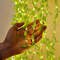 2M 20LED Willow Curtain Decorative Light String With Leaf Design 0