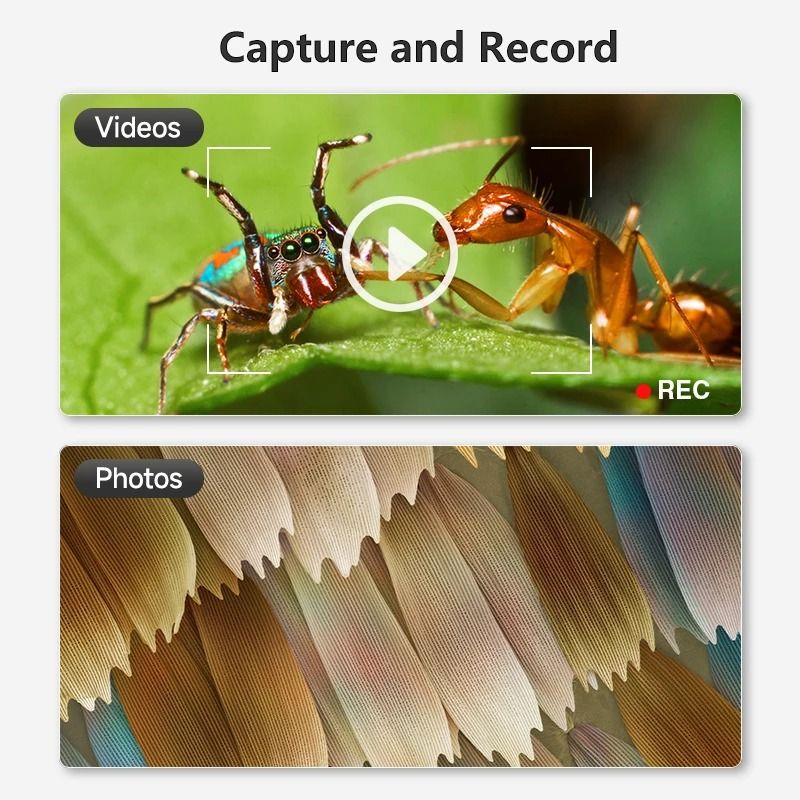 1600X USB Digital Microscope With 1080P HD Camera And Adjustable 8 LED Lights Compatible With Andr 3