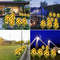 Solar Sunflower Garden Lights Outdoor Waterproof LED Flower Lamp 4