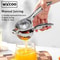 Stainless Steel Manual Citrus Juicer And Lemon Squeezer 0